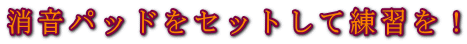 �����p�b�h���Z�b�g���ė��K���I
